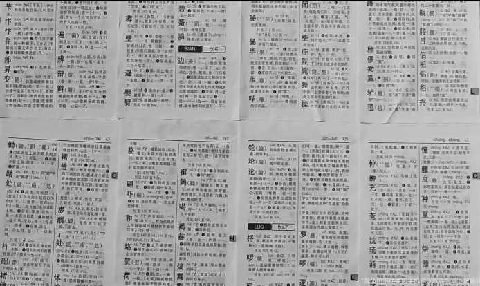 澳门三肖三码精准100%新华字典|词语释义解释落实