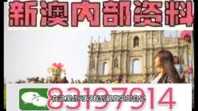 2023年澳门特马今晚开奖81期,澳门特马今晚开奖81期，期待与惊喜交织的时刻