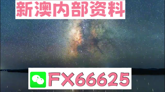 新澳天天彩免费资料大全查询,新澳天天彩免费资料大全查询，探索彩票世界的宝藏