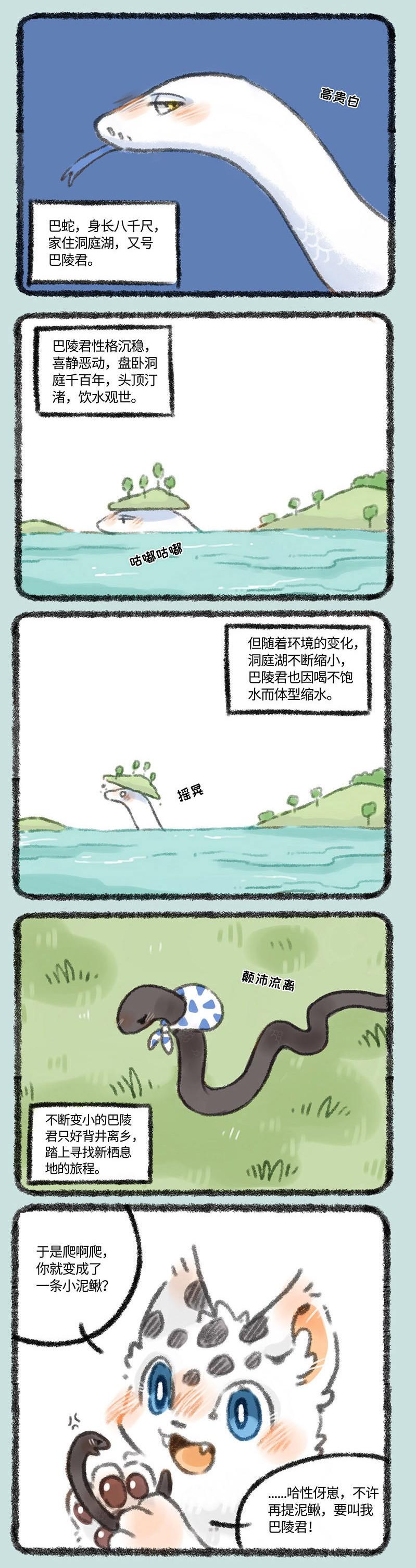 四不像今晚最准确一肖,四不像与最准确的生肖预测——今晚揭秘一肖