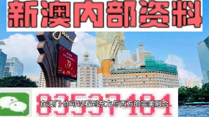 2025新澳全年资料,探索未来，2025新澳全年资料概览