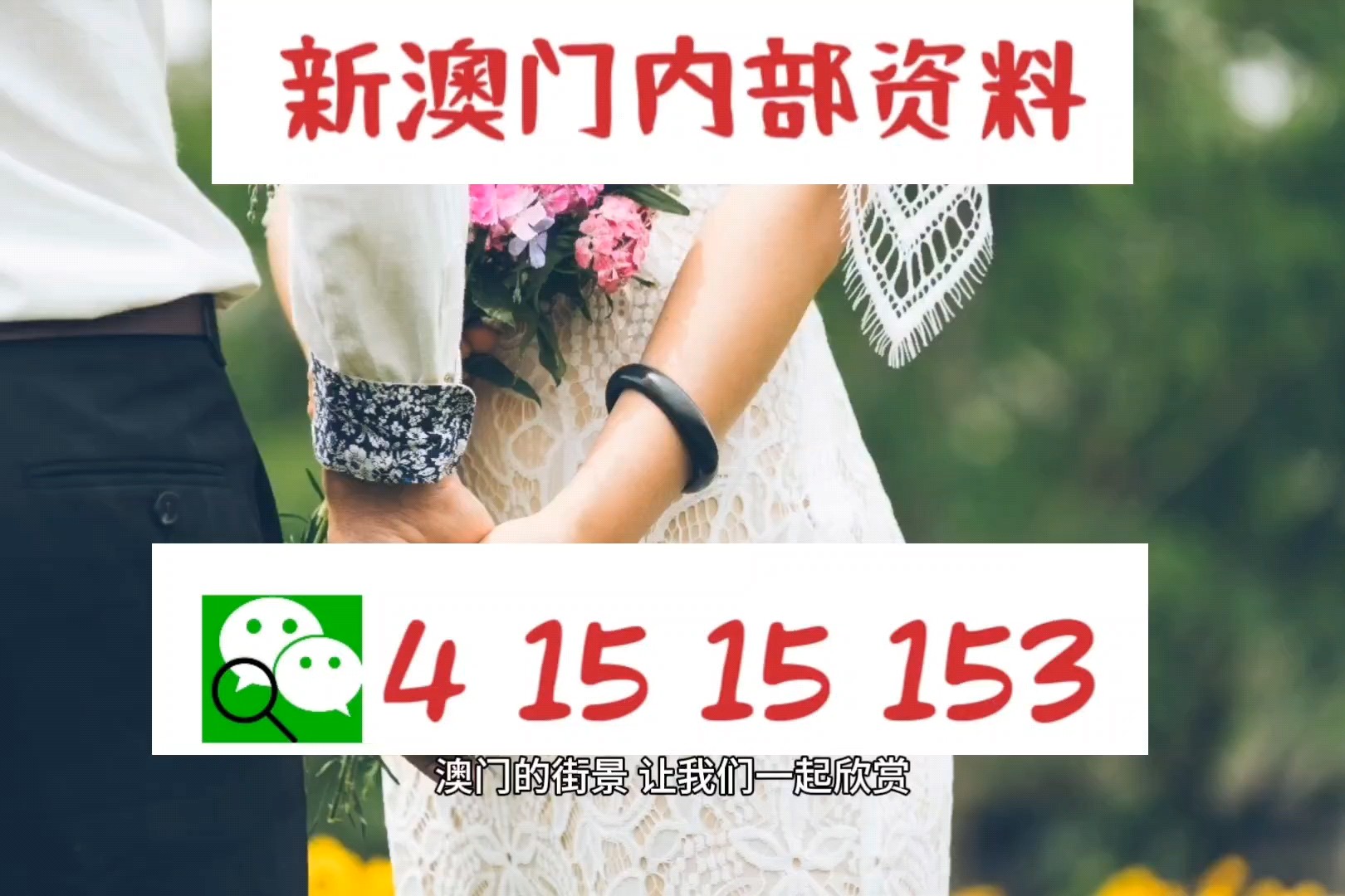 2004新澳正版资料最新更新,探索新澳正版资料，最新更新与深度解读（2004年）