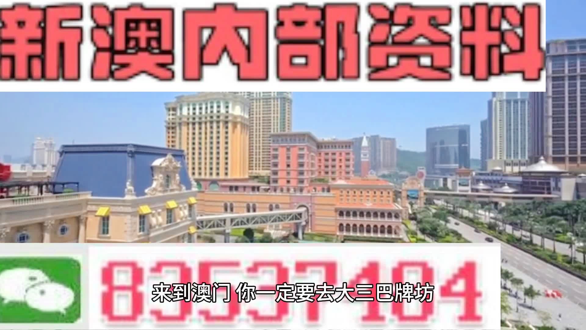新澳门全年免费资料,新澳门全年免费资料，探索与解析