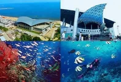 新澳精准资料免费大全,新澳精准资料免费大全——探索信息的海洋