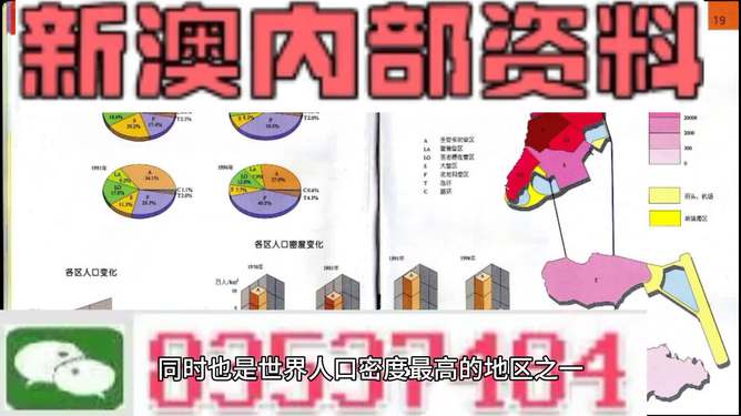新澳门2025管家婆正版资料,新澳门2025管家婆正版资料，探索与解析