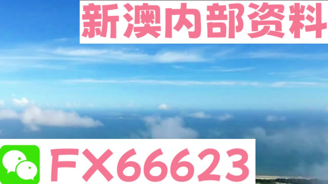 新澳内部资料精准大全,新澳内部资料精准大全，深度解析与探索