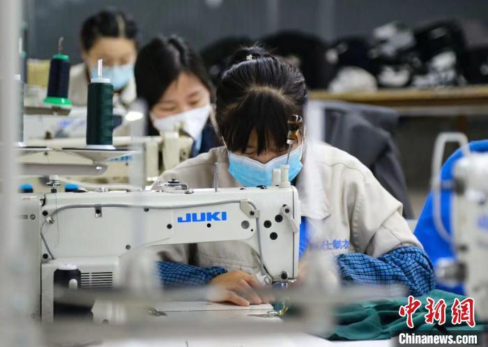 新奥天天免费资料公开,新奥天天免费资料公开，探索与启示