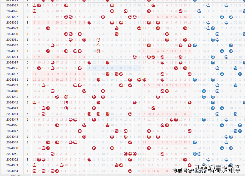 新澳门六开彩开奖结果2020年,新澳门六开彩开奖结果2020年回顾与探讨