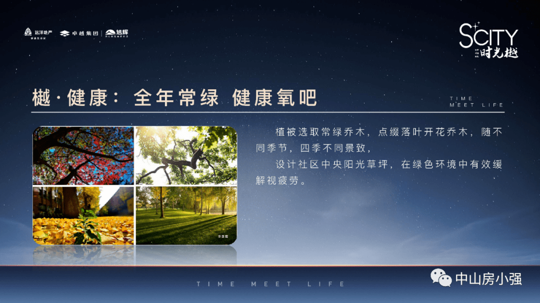 2025澳门天天开好彩大全162,澳门彩票的未来展望，迈向更加繁荣的明天（标题）