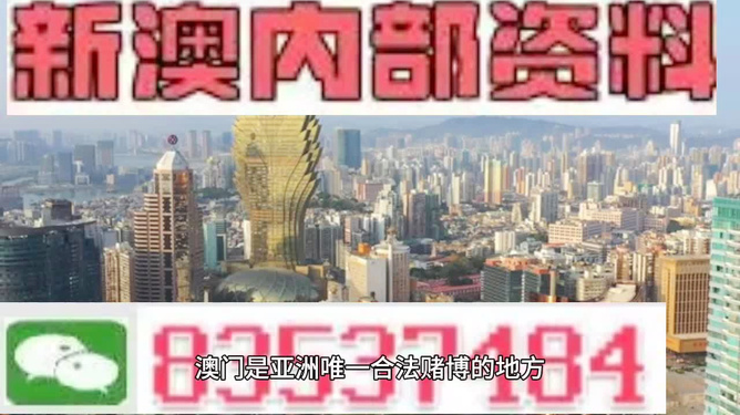 4949澳门精准免费大全2023,澳门精准免费大全2023，探索与揭秘