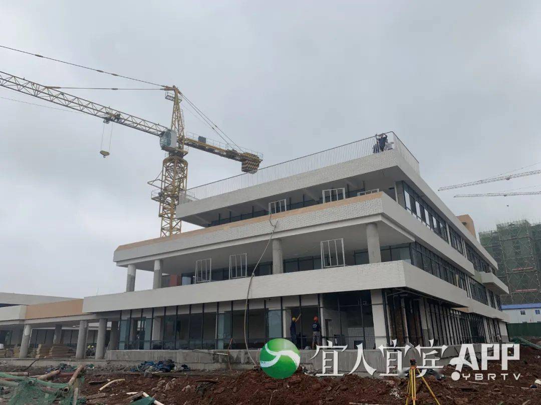今晚必出三肖,今晚必出三肖，预测与策略