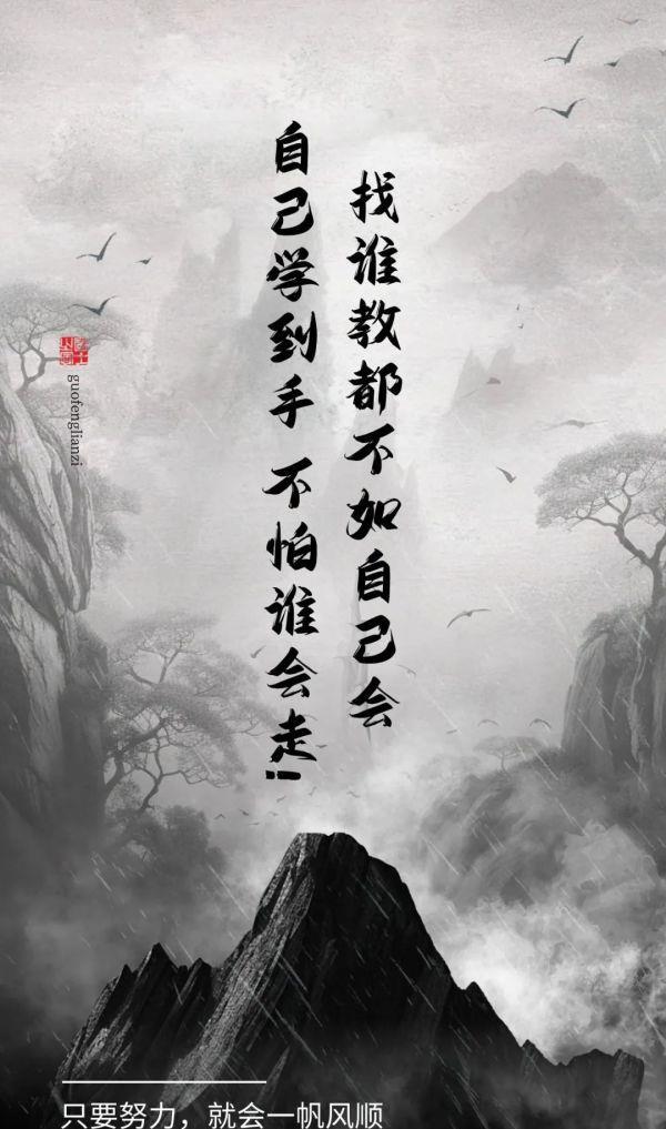 一码一码中奖免费公开资料,揭秘一码一码中奖，免费公开资料与彩票梦想的交汇点