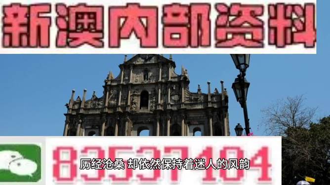 新澳门内部精准二肖,新澳门内部精准二肖，探索与解析