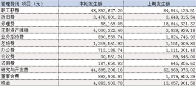 白小姐一码一肖中特1肖,白小姐一码一肖中特一肖，揭秘神秘彩票现象的背后